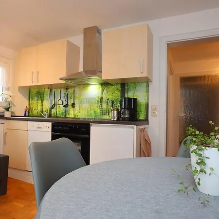 Donau-quelle In By Interhome Rietheim